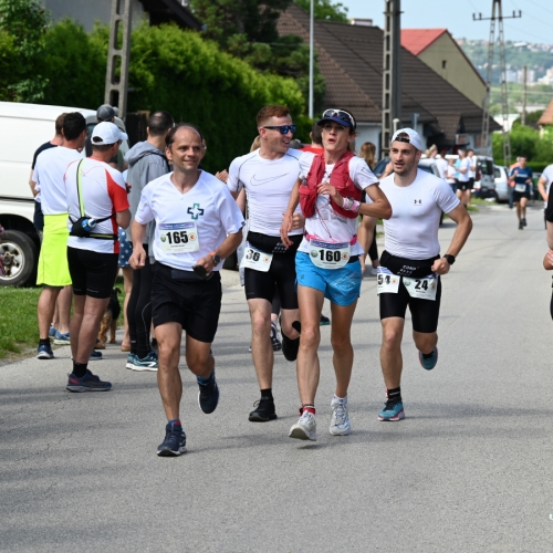 6197.JPG